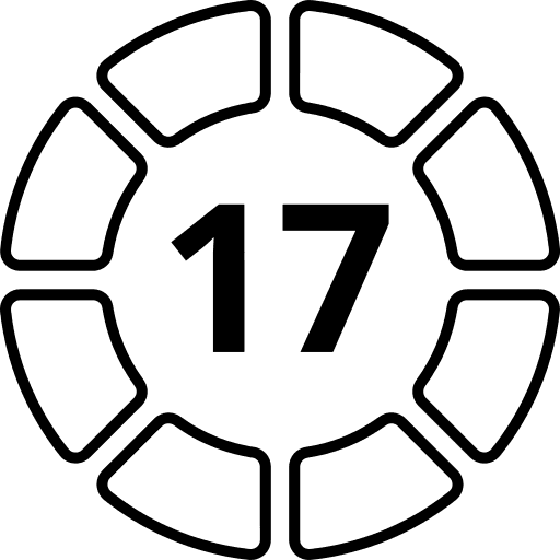 17 years of experience